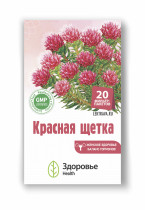 Красная щетка (родиола четырехчленная) - трава для женского здоровья