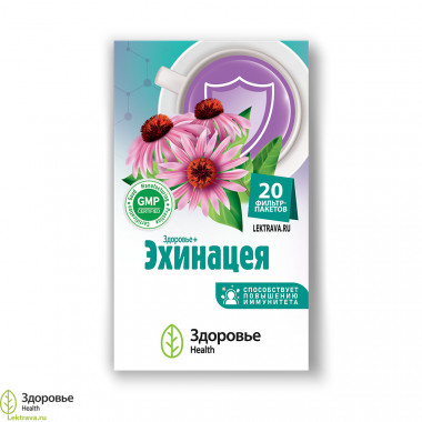 Эхинацея - трава для повышения иммунитета и защитных сил организма
