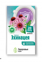 Эхинацея - трава для повышения иммунитета и защитных сил организма