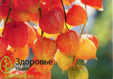 Син.: изумрудная ягода, земляная клюква, перуанский крыжовник, земляничный томат, земляная вишня, еврейская вишня, физалис обыкновенный, алкекенги, китайский фонарик, франше, овощной физалис, мексиканский томат, паслен, пузырник, пузырная вишня, дутая вишня, песья вишня, вишня полевая, мошна, махунка, машнуха, махункова ягода, мохурка, сонная одурь, сонный дурман. В народе его называют земляной клюквой, однако никакого отношения к ней он не имеет. Его плоды схожи с помидорами, но таковыми не являются, хотя он и относится к семейству Пасленовые. Пригоден в пищу без своей ядовитой чашечки, однако в культивировании почти не используется. Огородники-любители выращивают его как в декоративных, так и в лекарственных целях. Научная медицина как лекарственное растение его не использует. И все это – физалис.
Физалис