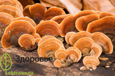 Санхван