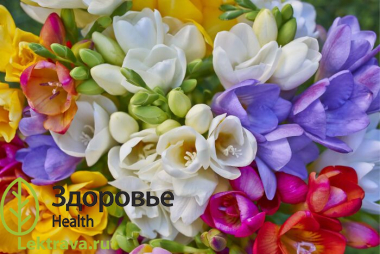 Фрезия