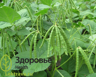 Маш