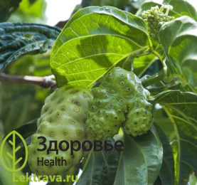 Нони